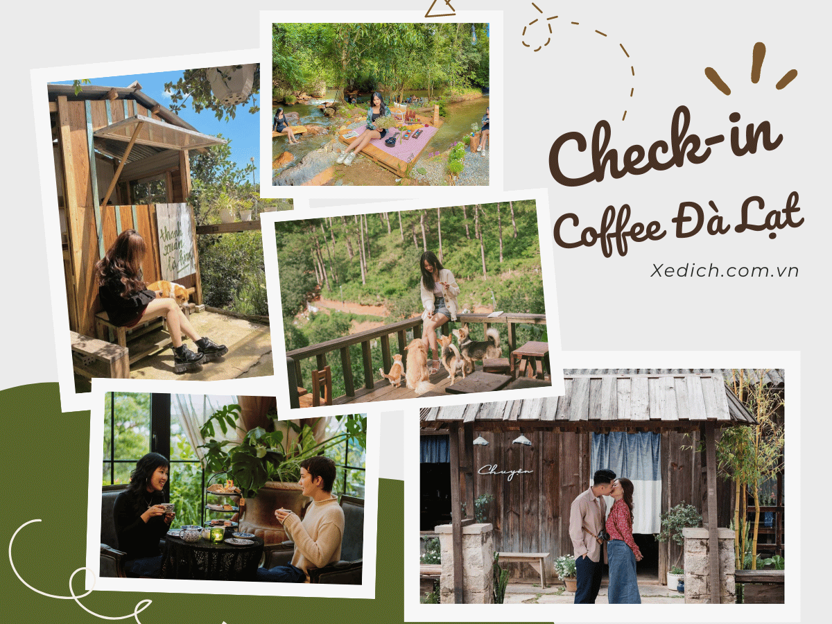 Top 10 Quán Cà Phê Check-in "Sống Ảo" tại Đà Lạt View Triệu Like