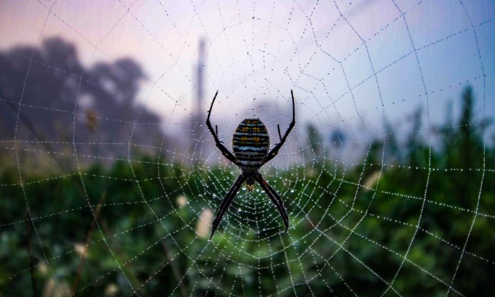 Phân quyền trên Linux: SUID và SGID