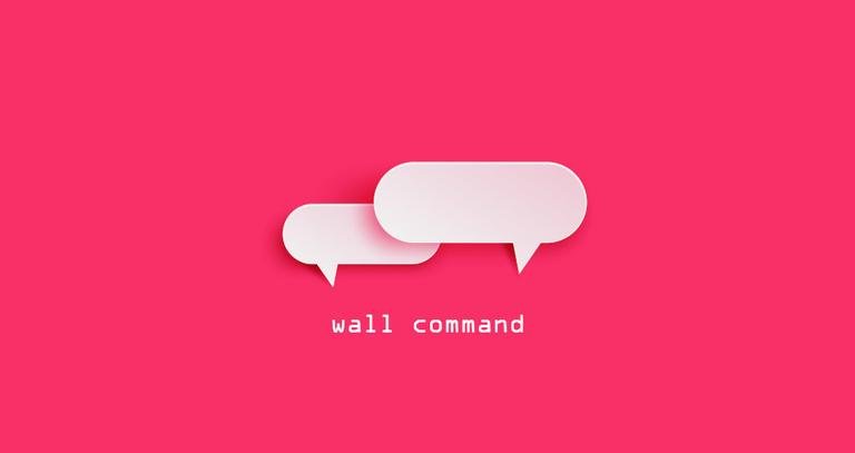 Câu lệnh Wall trong Linux